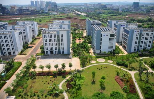 老皮头像单身狗5