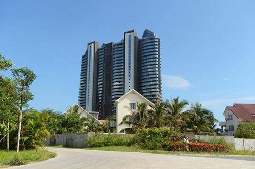 中年男士抖音迎客松风景头像9