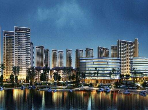 言情小说黑色头像8