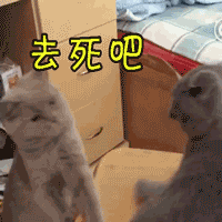 王俊凯表情包带字7 王俊凯表情包带字7