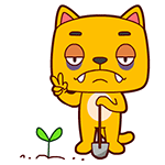 描述有的的经典表情13