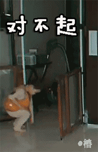 暴走熊猫人搞笑表情2 暴走熊猫人搞笑表情2