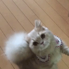 孕妇生气胎儿表情1 孕妇生气胎儿表情1