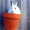 2025高考祝福语的表情包8 2025高考祝福语的表情包8