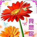 生气的表情熊猫2