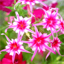 球员搞笑表情6 球员搞笑表情6