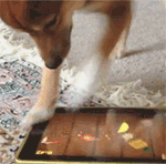 关于大理寺的沙雕表情包6