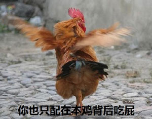 爱情呢表情包14 爱情呢表情包14