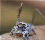 表情变成了美女10