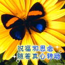 可爱表情包睡觉觉1 可爱表情包睡觉觉1