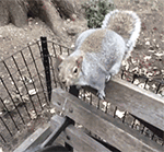 雁北方言表情包1 雁北方言表情包1