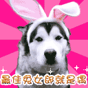 怼666的表情包10 怼666的表情包10