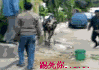 微信表情包图片大全集搞笑5