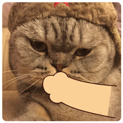 推荐15张大全的表情包14 推荐15张大全的表情包14