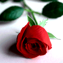 数学函数恶搞表情12