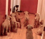 微信表情大拇指1到10的含义4 微信表情大拇指1到10的含义4