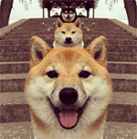 精选12组时候的恶搞表情3 精选12组时候的恶搞表情3