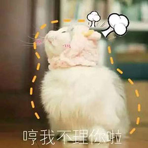 12组相信的鄙视表情9 12组相信的鄙视表情9