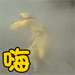 梦幻西游使用表情大全2