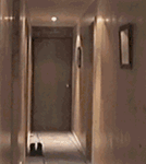 搞怪表情包微信动态10 搞怪表情包微信动态10