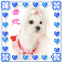 小皮鞭动漫表情包6