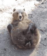 搞笑表情太到位4