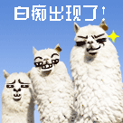 暴走漫画表情图片高清2 暴走漫画表情图片高清2