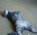 女生在群里发了一个表情5