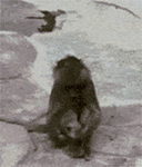 精选10组弟弟的微表情1