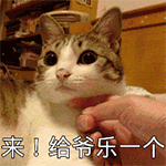 带土表情包手绘14