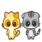 关于可爱小猪表情包5 关于可爱小猪表情包5