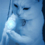 微信中括号文字表情怎么弄14