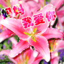 滑稽表情包全景图2 滑稽表情包全景图2