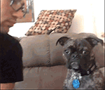 脸上的搞怪表情9