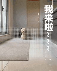 恶搞表情包大龅牙7