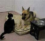 沙雕现实图片15