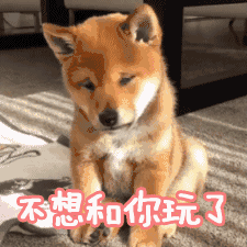 10组开心的GIF表情5