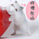 陶醉表情包1 陶醉表情包1