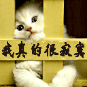 陈赫爱情公寓表情包gif11 陈赫爱情公寓表情包gif11