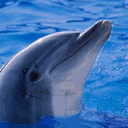 我祝愿所有的幸福都能与你相伴3