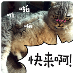 qq表情变脸怎么做10