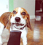 歧视表情包动漫4 歧视表情包动漫4