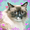 微信请假表表情恶搞13