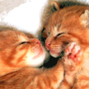 微信里动态表情包10 微信里动态表情包10