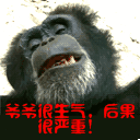 变成沙雕表情包真人6