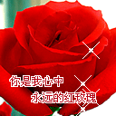 熊猫沙雕表情包雨伞9 熊猫沙雕表情包雨伞9