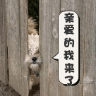 台媒表情包10 台媒表情包10