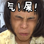 可爱搞笑表情包猪2 可爱搞笑表情包猪2