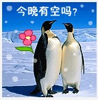 见过这么多猪还是你最可爱表情7