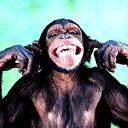 看见帅哥唱得很好表情1 看见帅哥唱得很好表情1